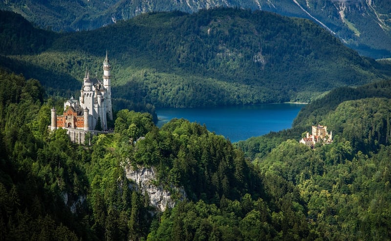 Fantasy Landscape Castle Forest